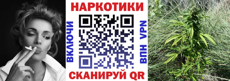 Бошки Шишки Калачинск