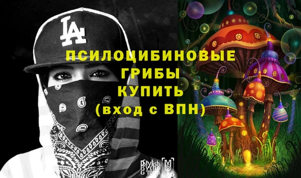 стафф Сатка