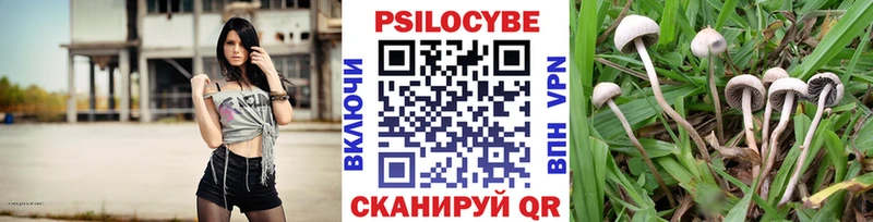 Псилоцибиновые грибы Cubensis  Калачинск 